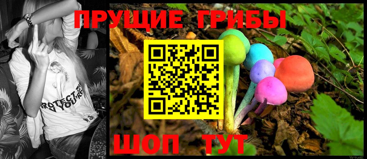 где продают наркотики  Псилоцибиновые грибы Magic Shrooms  Вход с VPN  Симферополь 
