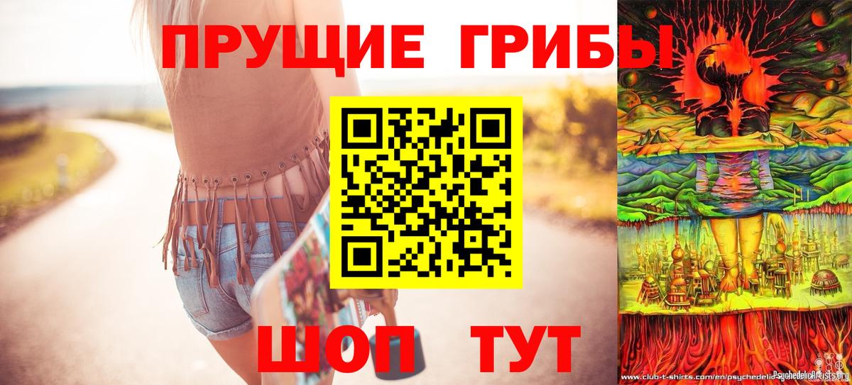 Псилоцибиновые грибы Psilocybe Симферополь